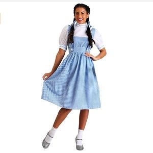 Dorothy Long Dress Costume
